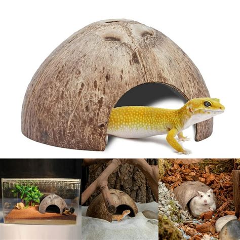 Gwong Reptile Nest Cave Shelter Natural Coconut Shell Tortoise Lizard