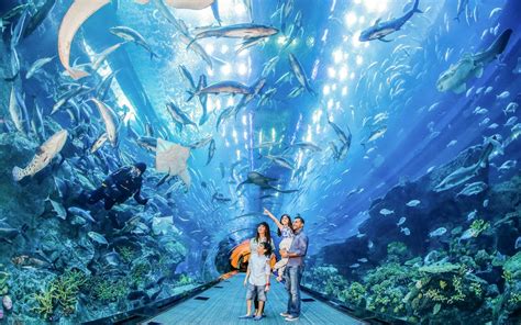 Burj Khalifa At The Top And Aquarium Tickets - Aquarium Views