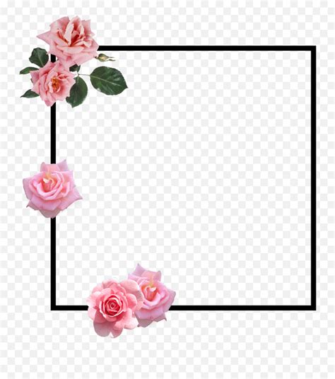 Rose Roseborder Border Pinkrose Sticker Floral Emojipink Rose Emoji