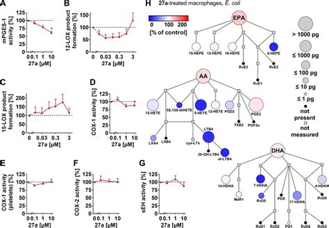 Compound 27a Moderately Inhibits MPGES 1 Within Eicosanoid And