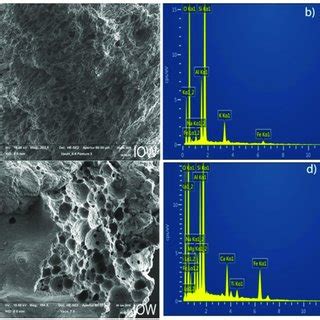 Scanning Electron Microscope SEM And Energy Dispersive X Ray EDX