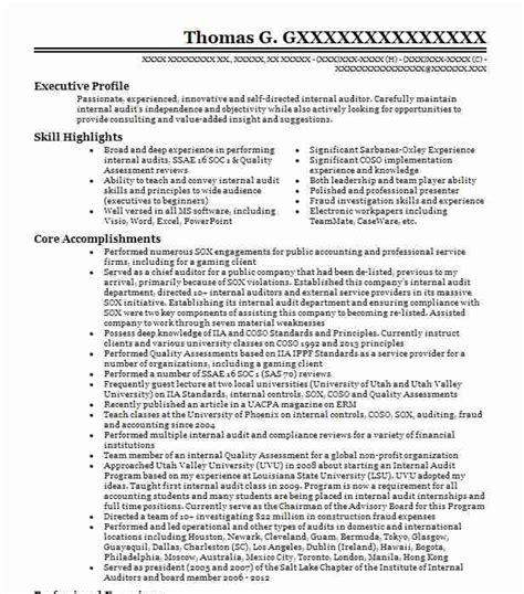 Vp Internal Audit Resume Sample Mintresume Off