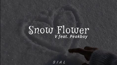 Snow Flower V feat Peakboy Tradução PT BR Especial De Natal