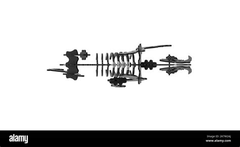 3d Rendering Of A Smilodon Skeleton Or Saber Toothed Tiger A Genus Of