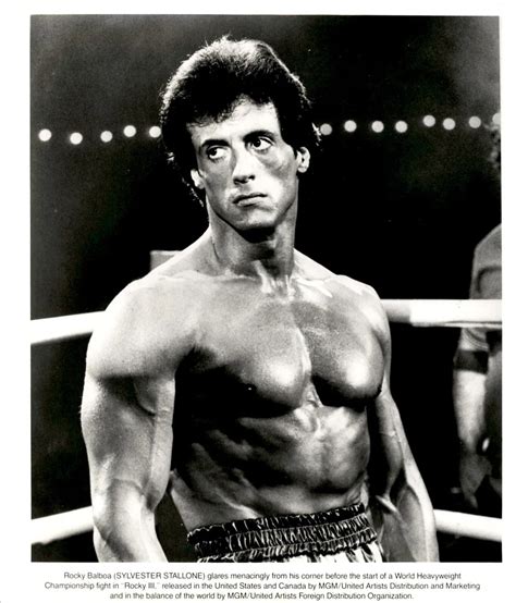 Sylvester Stallone Buff