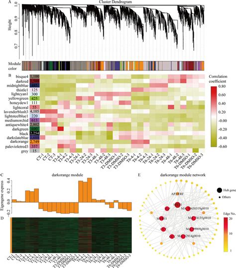 Weighted Correlation Network Analysis Wgcna Of The Degs Of Norway