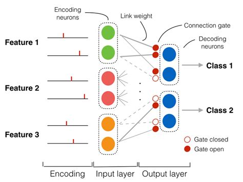 The Spiking Neural Network With Connection Gates Download Scientific