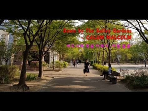 Down by The Sally Gardens CALUM MALCOLM 버드나무 정원 아래서 카럼 말콤 YouTube