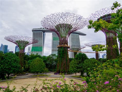 Gardens by the Bay, Singapore Stock Photo - Image of landscape, forest ...