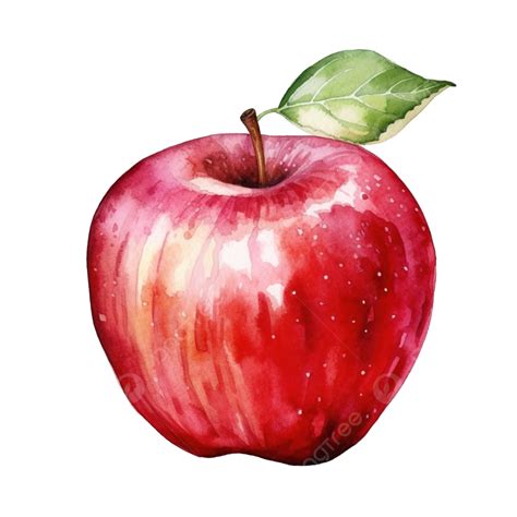 Acuarela Manzana Clip Art PNG Dibujos Manzana Acuarela Clipart PNG