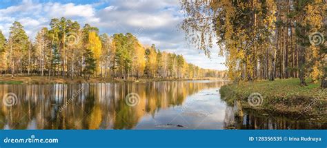 Panorama Der Morgenherbstlandschaft Auf Dem See Mit Birkenwald Auf Dem