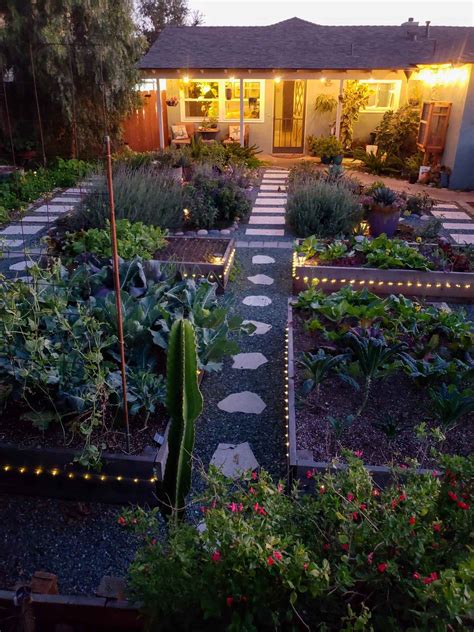 Raised Garden Beds vs. In-Ground Beds: Pros & Cons ~ Homestead and Chill