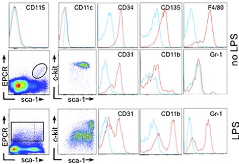 Epcr Expression In Bone Marrowresident Macrophages Flow Cytometric