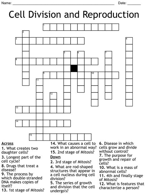 Cell Cycle And Mitosis Crossword Puzzle Answers All Living Things Are