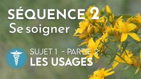 Mooc Botanique Les Plantes Et Leurs Usages S Quence Sujet