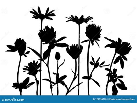 Siluetas Del Vector De Flores Salvajes Ilustraci N Del Vector