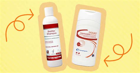 4 Best Dog Shampoos For Allergies To Help Your Itchy Dog - DodoWell ...