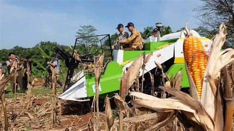 Bantuan Alsintan Dorong Produktivitas Hasil Pertanian Bisnis Liputan