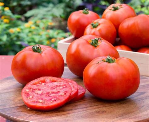 7 Trucos Para Cultivar Tomates Más Grandes Y Sanos Eco Jardín Mágico