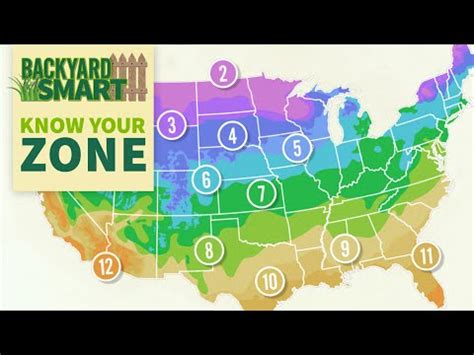 What Zone Is Mn In For Planting Plantopiahub Your Ultimate