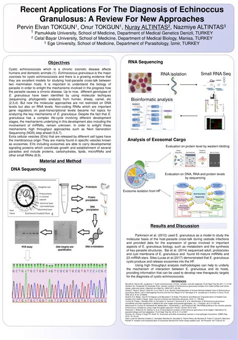 (PDF) Recent Applications For The Diagnosis of Echinoccus Granulosus: A Review For New Approaches