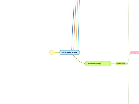 Civd Dr Panocytose Mindmap Voorbeeld