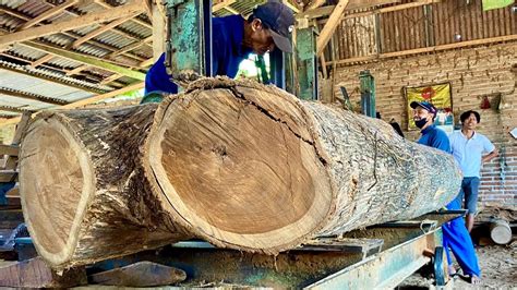 Teknik Penggergajian Kayu Jati Cabang Yang Menampakkan Keindahan Serat