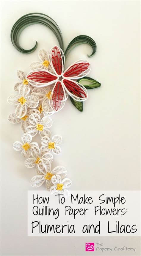 How To Make Simple Quilling Paper Flowers Plumeria And Lilacs The