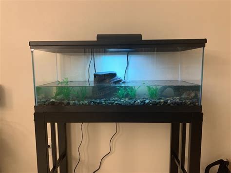 Zilla Aquatic Turtle Aquarium Kit Long Petco