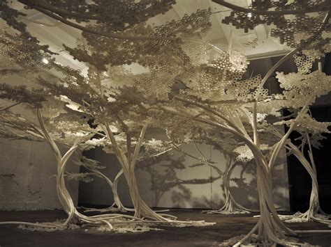 Frameweb | Cherry Tree Installation