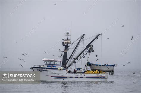 Purse Seiner Boat