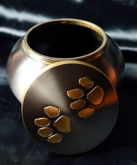 The Pet Cremation Process (A Step by Step Guide) - PetDeparted