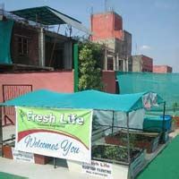 Rooftop Farming,Rooftop Farming Providers in India Consultants Agents ...