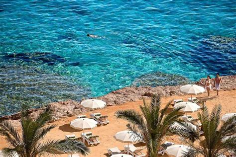 From Hurghada Sharm El Naga Full Day Snorkeling Tour Getyourguide