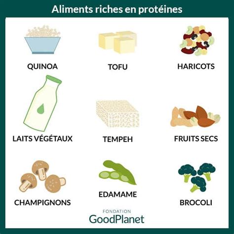 D Couvrez Aliments V G Tariens Riches En Prot Ines Pour Une