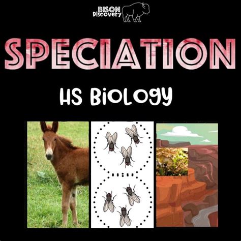 Speciation Bison Discovery Low Prep Biology Lesson