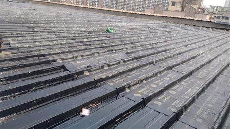 SBS Membrane Waterproofing Service At Rs 65 Square Feet Membrane