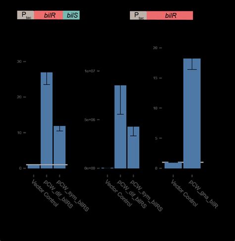 Confirmation Of Bilr S Bilirubin Reductase Activity A Schematic Of