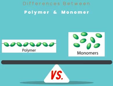 Hdpe Vs Pp Key Differences And Comparative Analysis