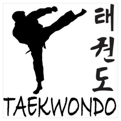 Top V H Nh N N Taekwondo P Hay Nh T Coedo Vn