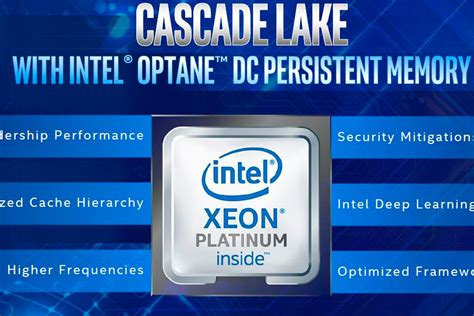 Los Procesadores Intel Xeon Cascade Lake Alcanzan Los N Cleos Y