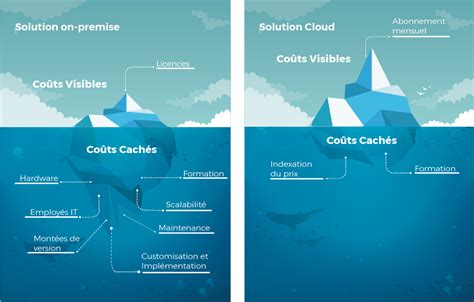 Le Co T Total Et Le Business Model L Ments Cl S Du Calcul De Valeur