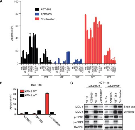 Figure From Mtor Inhibition Specifically Sensitizes Colorectal