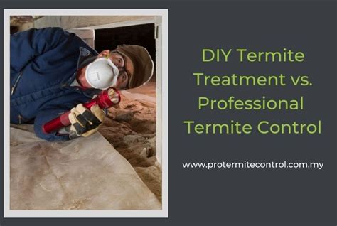 DIY Termite Treatment vs. Professional Termite Control