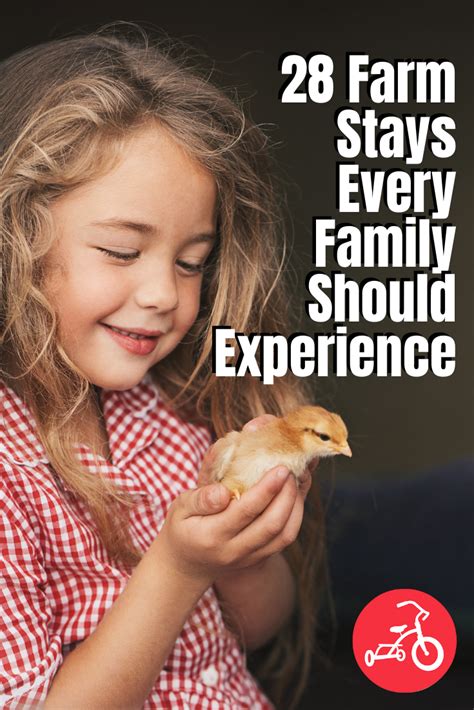 28 Farm Stays Every Family Should Experience