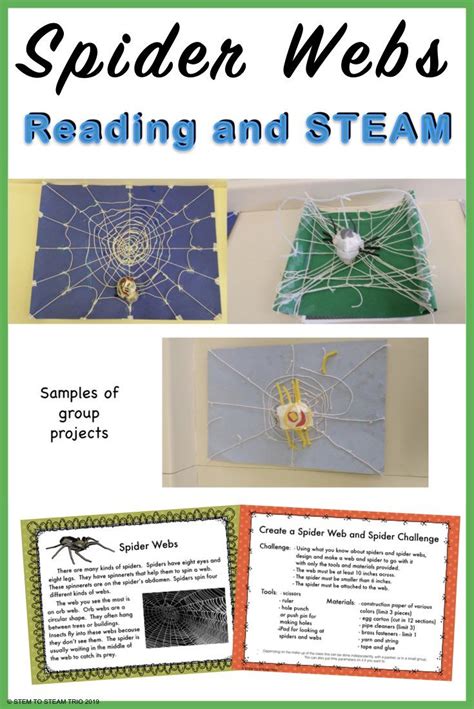 Spider Webs Informational Reading And Make A Web Stem Challenge