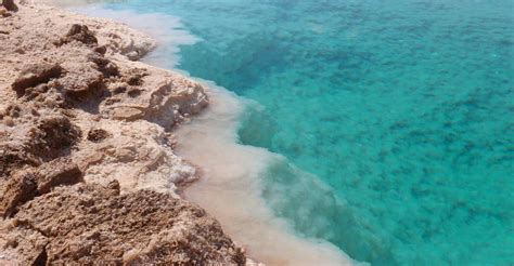 Desde El Cairo Safari de 3 días por El Alamín el Oasis de Siwa y el