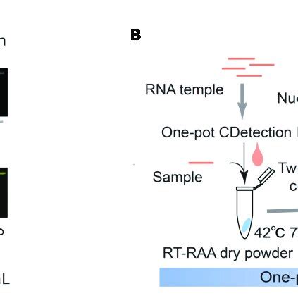 Visualization Of Cdetection V Results A Visualization Of