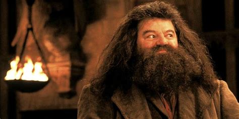 Harry Potter: Hagrid's 10 Best Quotes, Ranked