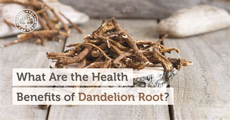 What are the Health Benefits of Dandelion Root?